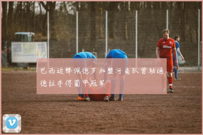 巴西边锋佩德罗加盟河南队曾助通德拉夺得葡甲冠军